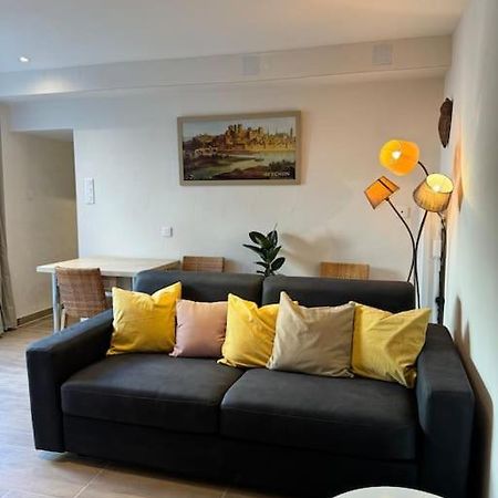 Appartement De Plain-Pied Avec Jardin 亞維農 外观 照片