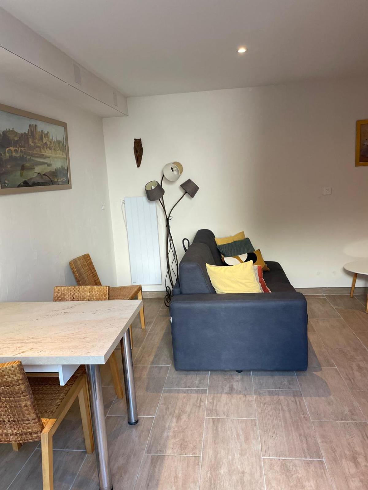 Appartement De Plain-Pied Avec Jardin 亞維農 外观 照片